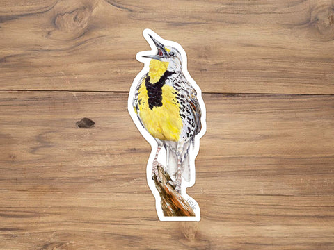Western Meadowlark Sticker