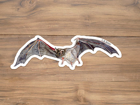 Mexican Free-tailed Bat Sticker