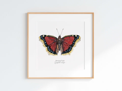 Mourning Cloak Print