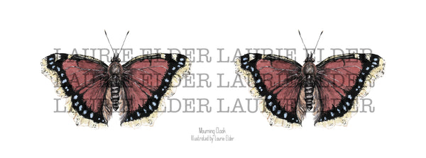 Mourning Cloak Mug