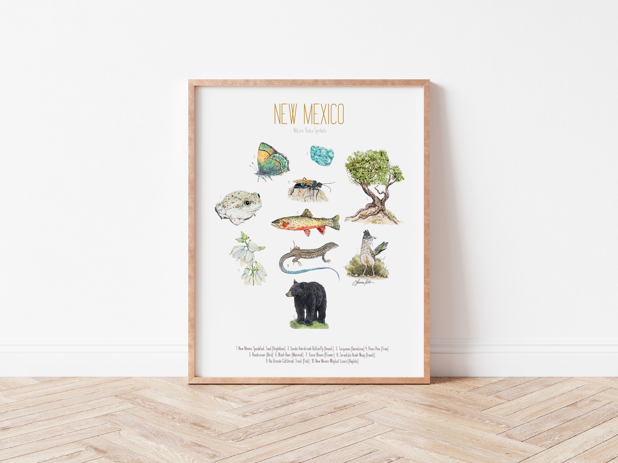 New Mexico State Symbols Print