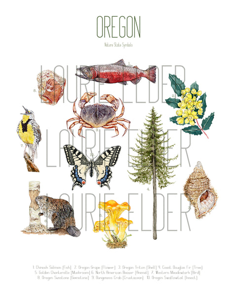 Oregon State Symbols Poster Print