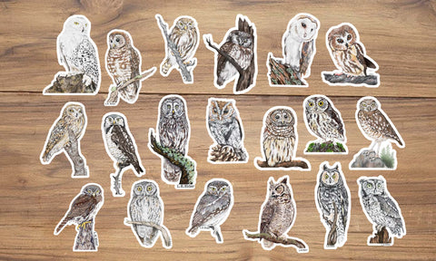 Owl Sticker Pack