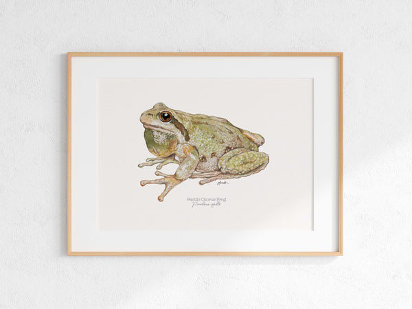 Pacific Chorus Frog Print