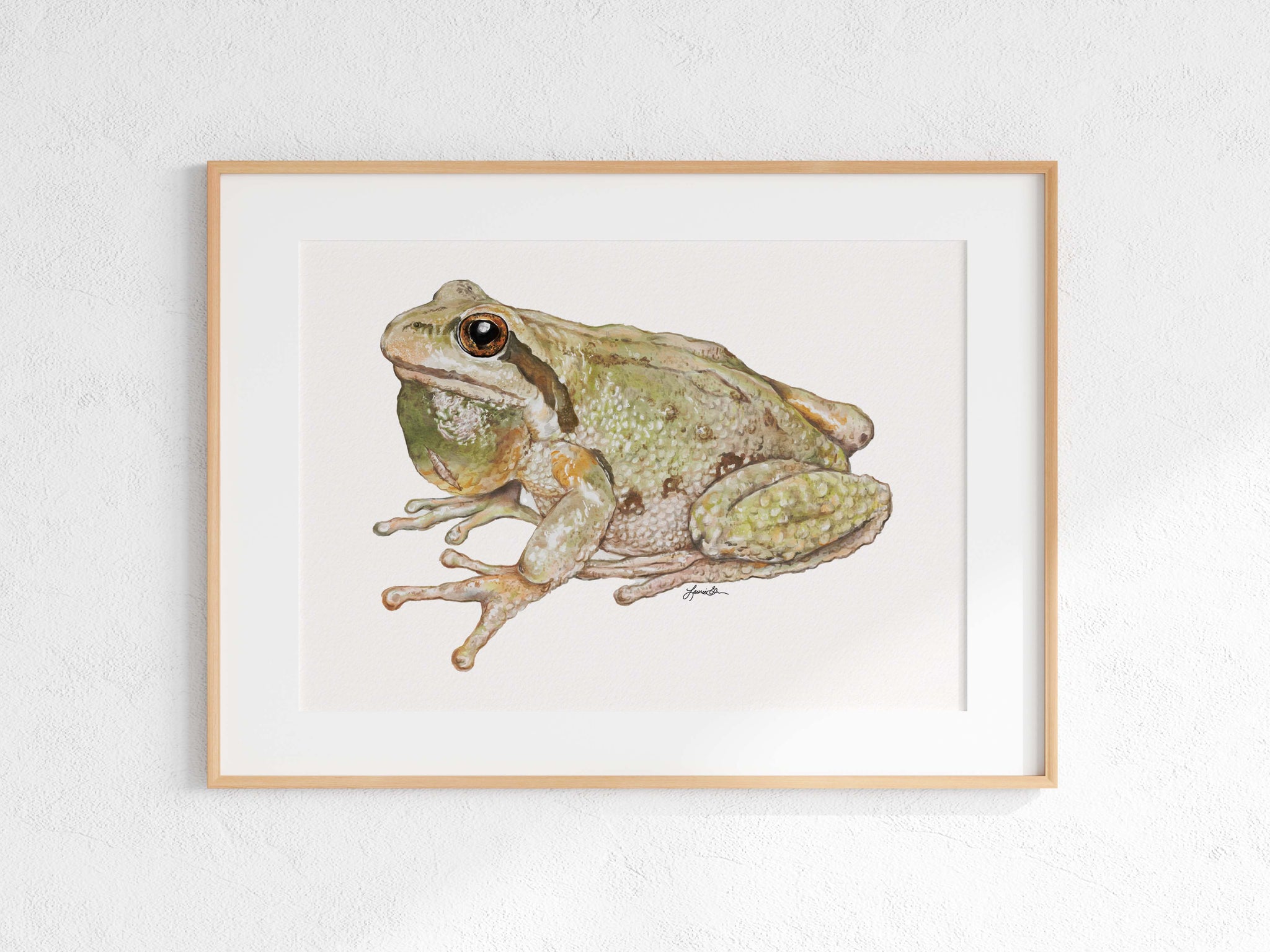 Pacific Chorus Frog Print
