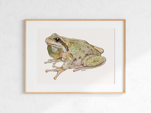 Pacific Chorus Frog Print