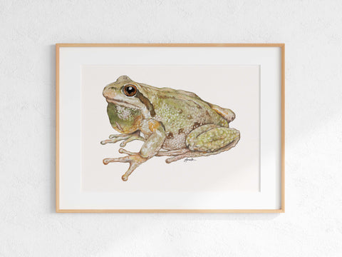 Pacific Chorus Frog Print