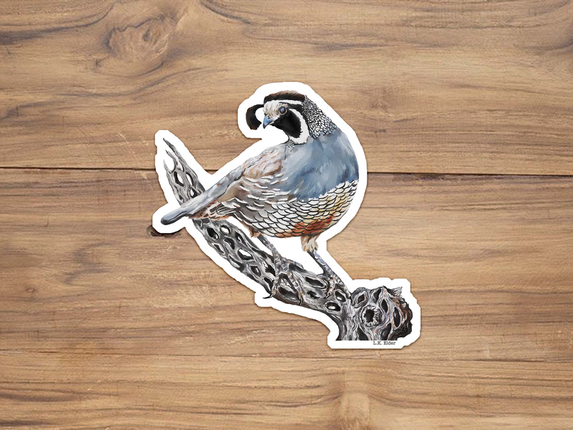Gambel Quail Sticker