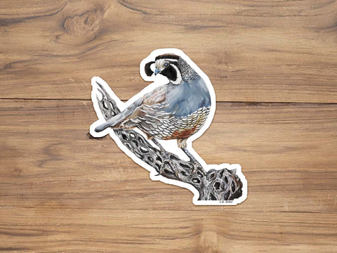 Gambel Quail Sticker