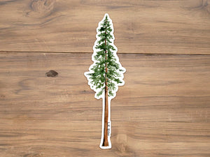 Coast Redwood Sticker