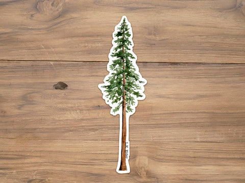 Coast Redwood Sticker