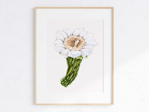 Saguaro Flower Print