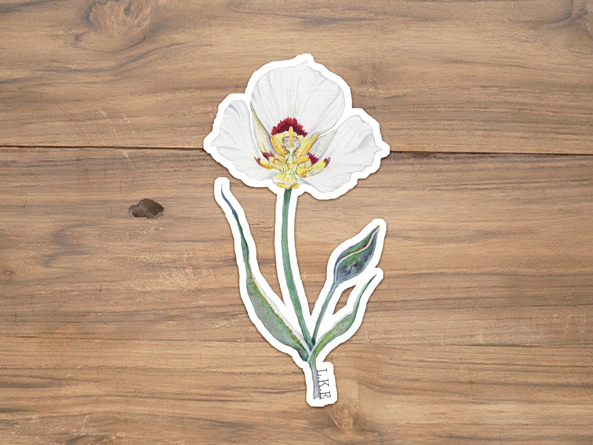 Sego Lily Sticker