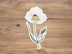 Sego Lily Sticker