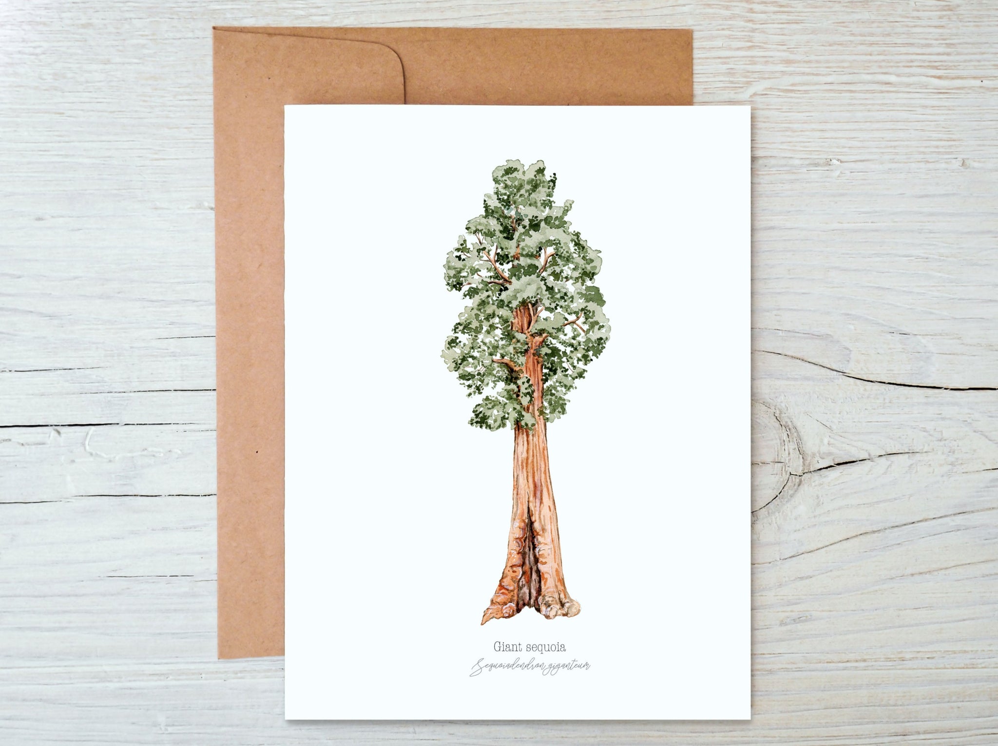 Sequoia Greeting Card