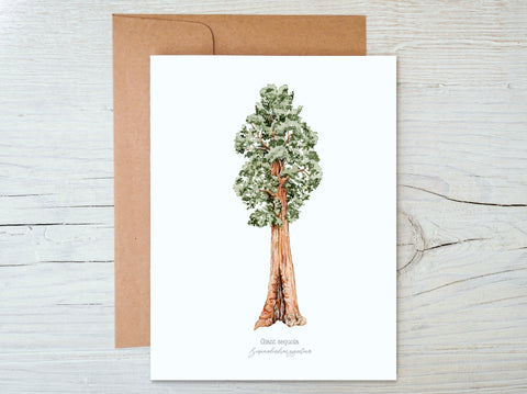 Sequoia Greeting Card