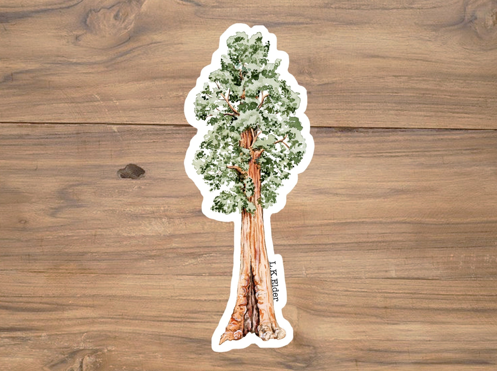 Sequoia Tree Sticker