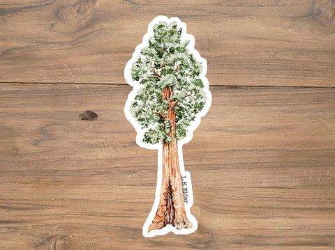Sequoia Tree Sticker