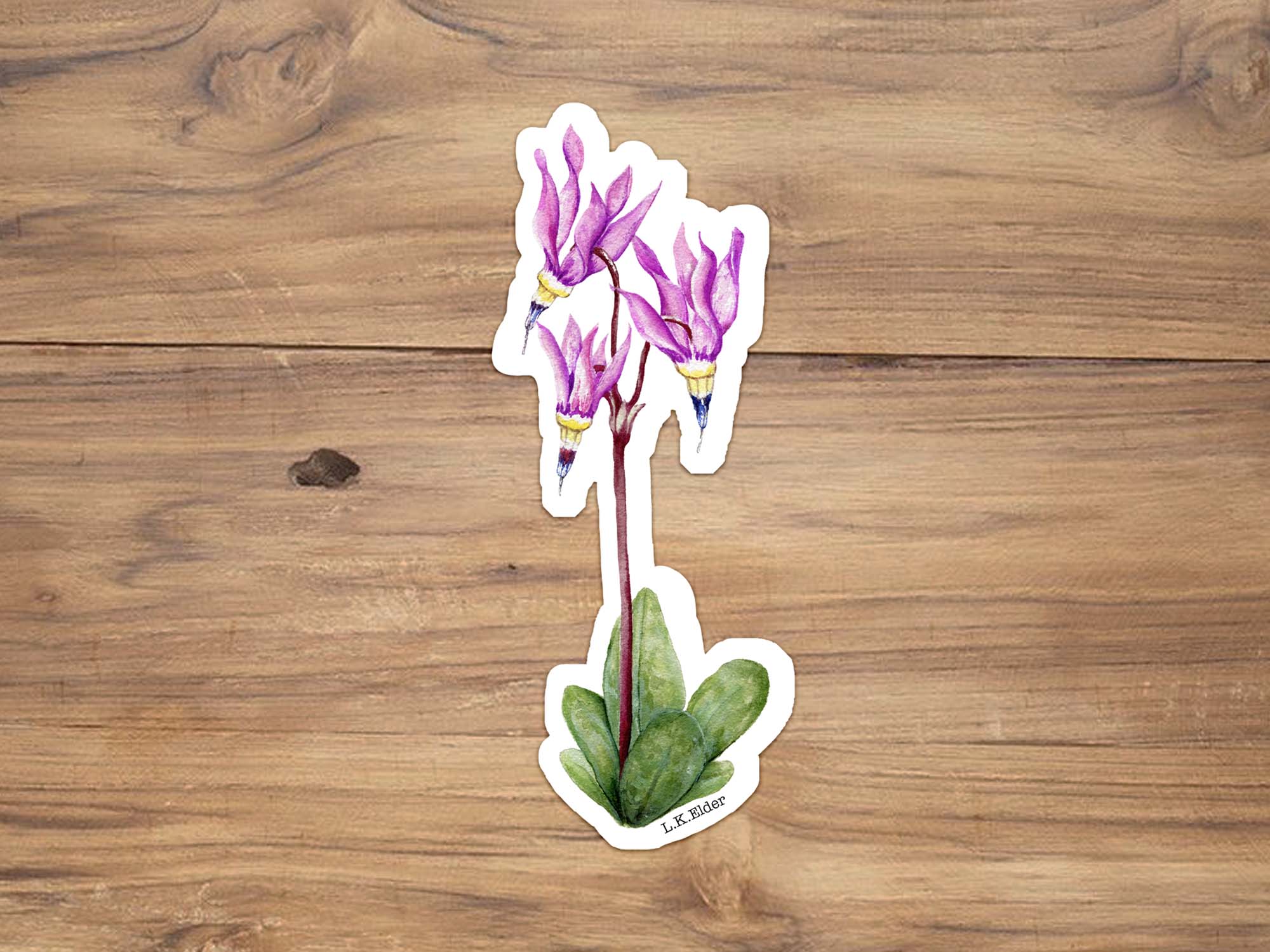Shooting Star Wildflower Sticker