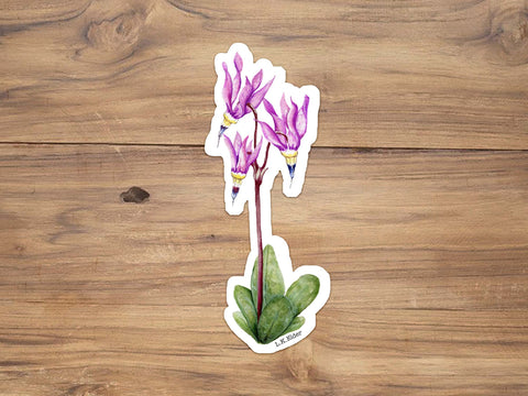 Shooting Star Wildflower Sticker