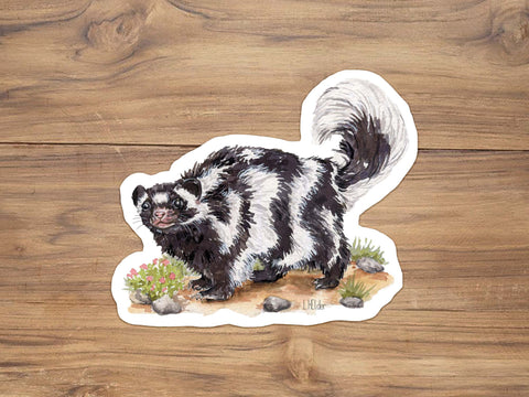 Spotted Skunk Sticker